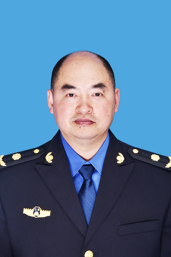 市城管局现任局领导及分工